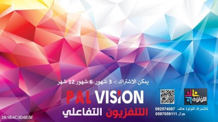 التلفزيون التفاعلي  PALVISION iPTV