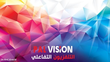 التلفزيون التفاعلي  PALVISION iPTV